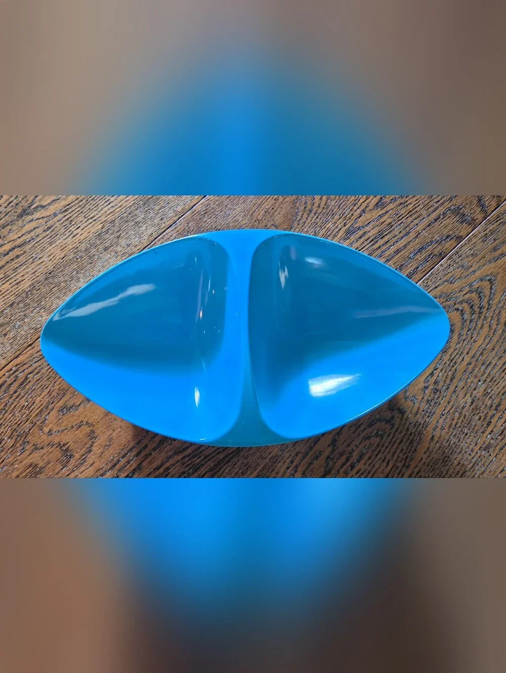 Pets - Divided Feeding Bowl (12
